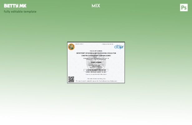 Модерен стил Шаблон за деловна лиценца за изведувач на САД Флорида